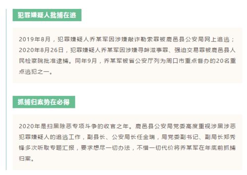 周口城事 酬金制物業管理落地老舊小區，涉惡嫌犯歸案與公交車浪漫婚禮同現