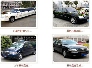 上海租車服務全攻略 價格、車型與內飾材料解析
